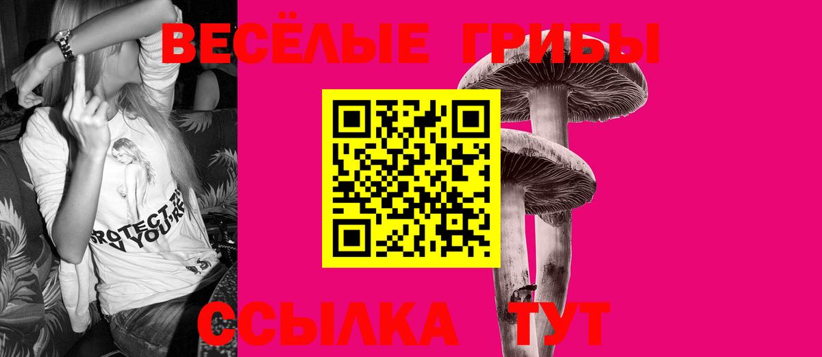Алексеевка  Галлюциногенные грибы Cubensis  Вход с VPN 